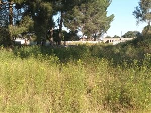 1148 m² Land available in Riversdale