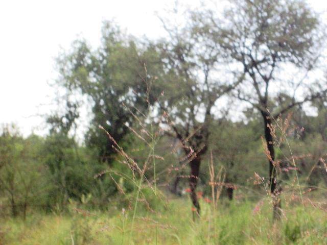 2.7 ha Land available in Hartbeespoort Dam photo number 3