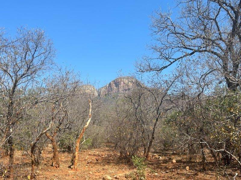 9889 m² Land available in Hoedspruit photo number 9