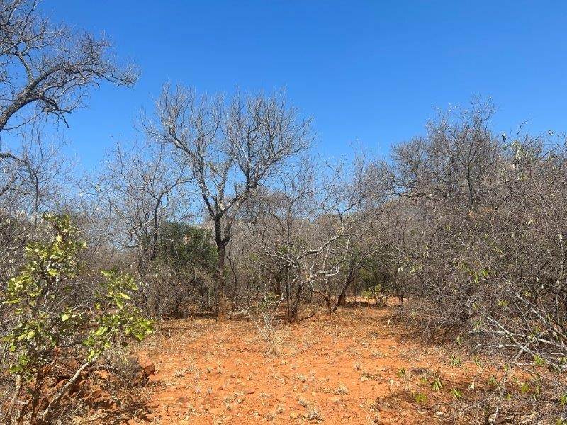 9889 m² Land available in Hoedspruit photo number 14