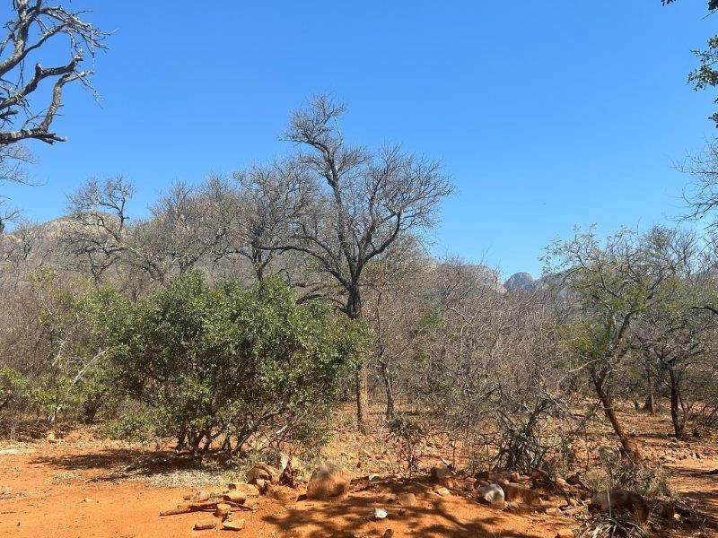 9889 m² Land available in Hoedspruit photo number 12