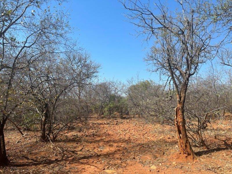 9889 m² Land available in Hoedspruit photo number 13