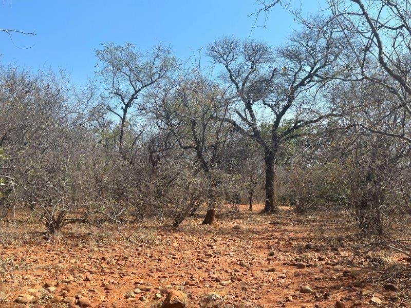 9889 m² Land available in Hoedspruit photo number 10