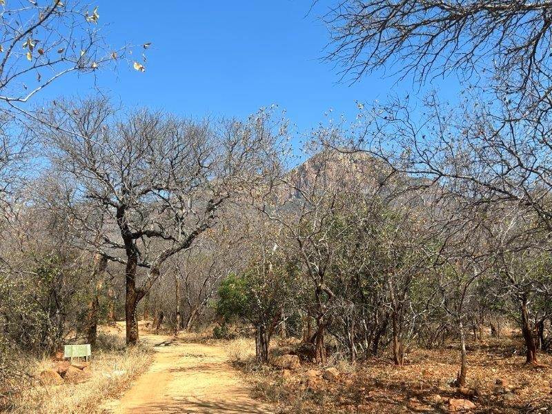 9889 m² Land available in Hoedspruit photo number 6
