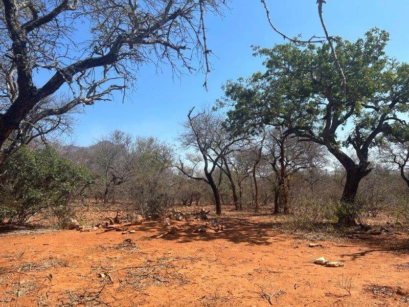 9889 m² Land available in Hoedspruit photo number 11