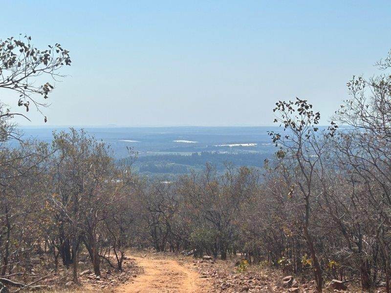 9889 m² Land available in Hoedspruit photo number 3