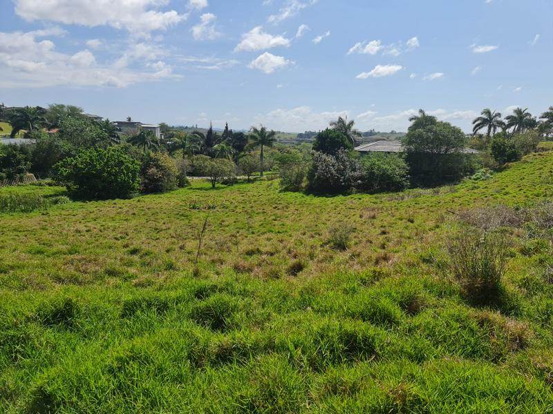 1032 m² Land available in Palm Lakes Estate photo number 4
