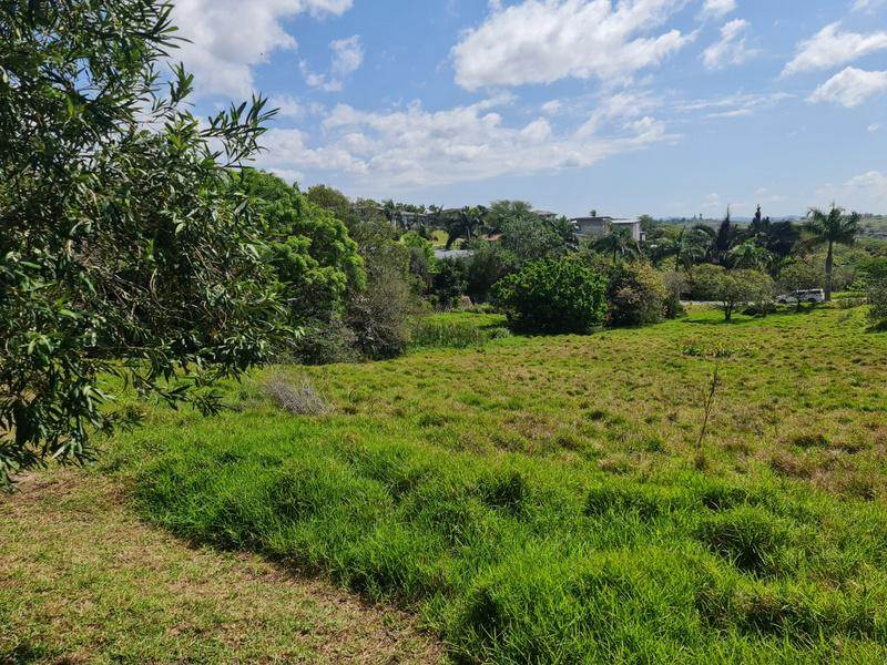 1032 m² Land available in Palm Lakes Estate photo number 9
