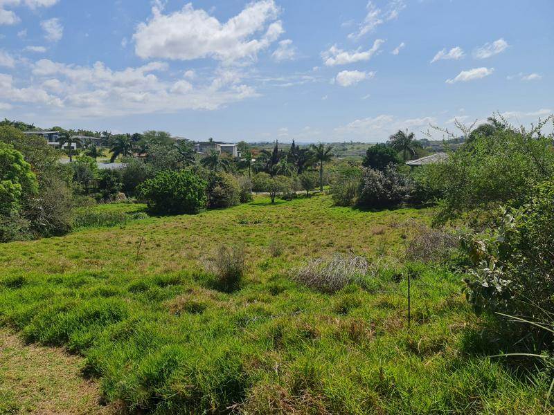 1032 m² Land available in Palm Lakes Estate photo number 3