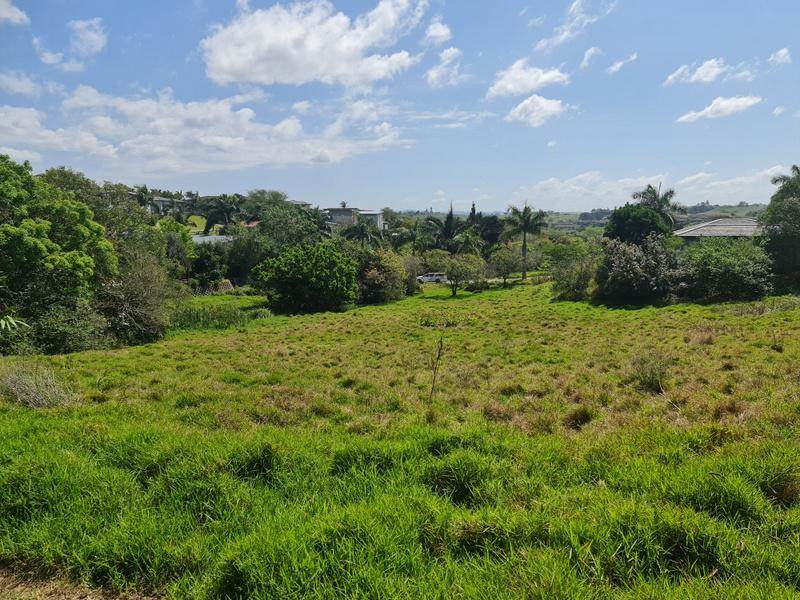 1032 m² Land available in Palm Lakes Estate photo number 1