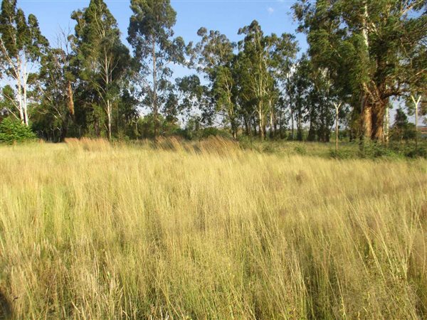 2142 m² Land available in Henley on Klip