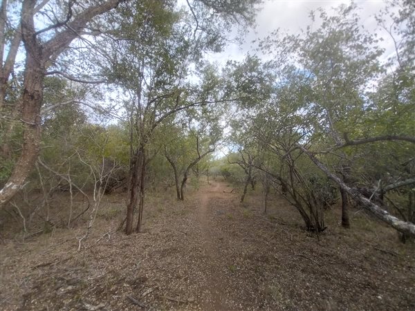 2749 m² Land available in Marloth Park