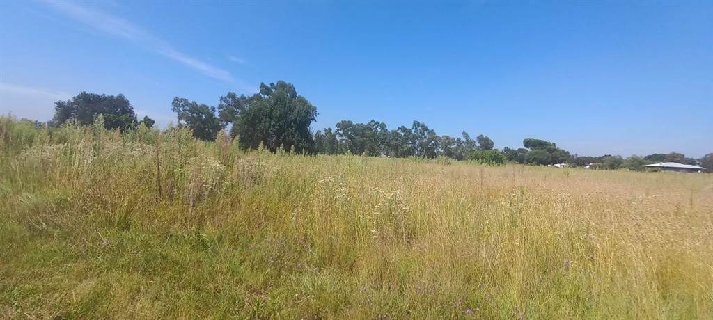 992 m² Land available in Kookrus photo number 2