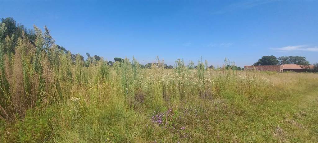 992 m² Land available in Kookrus photo number 5