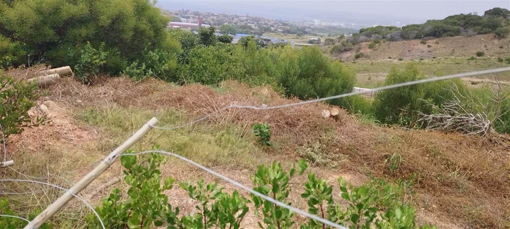807 m² Land available in Menkenkop photo number 6
