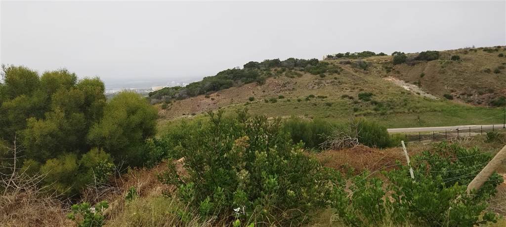 807 m² Land available in Menkenkop photo number 3