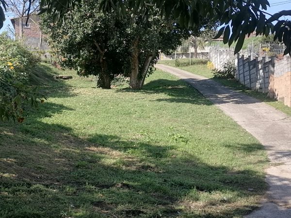 1 004 m² Land 1 004 m² Land