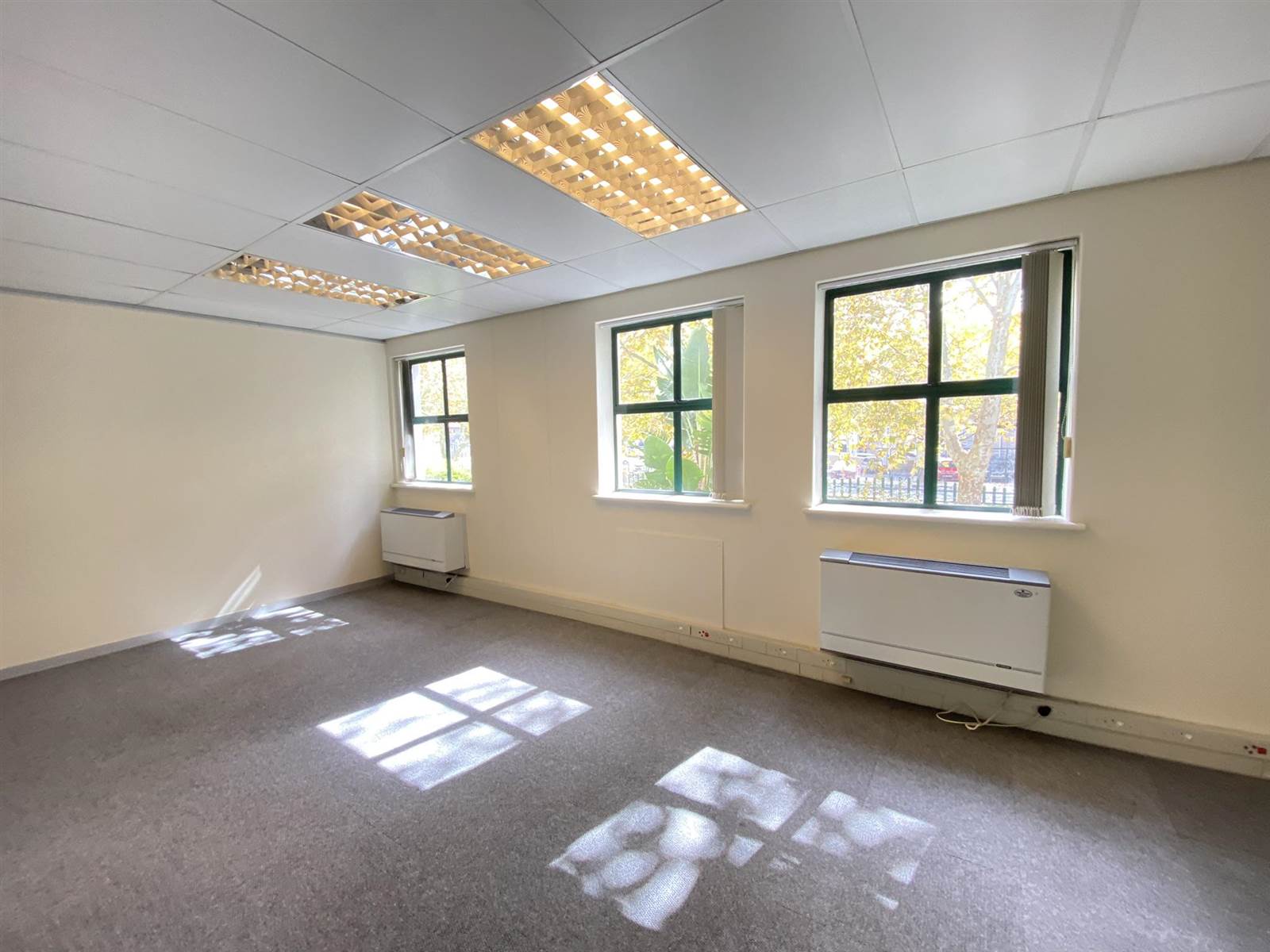 310  m² Commercial space in Kenilworth photo number 4