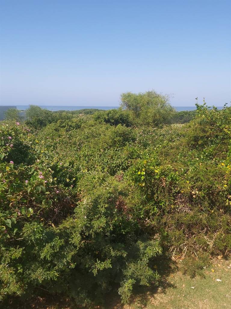 875 m² Land available in Winterstrand photo number 3