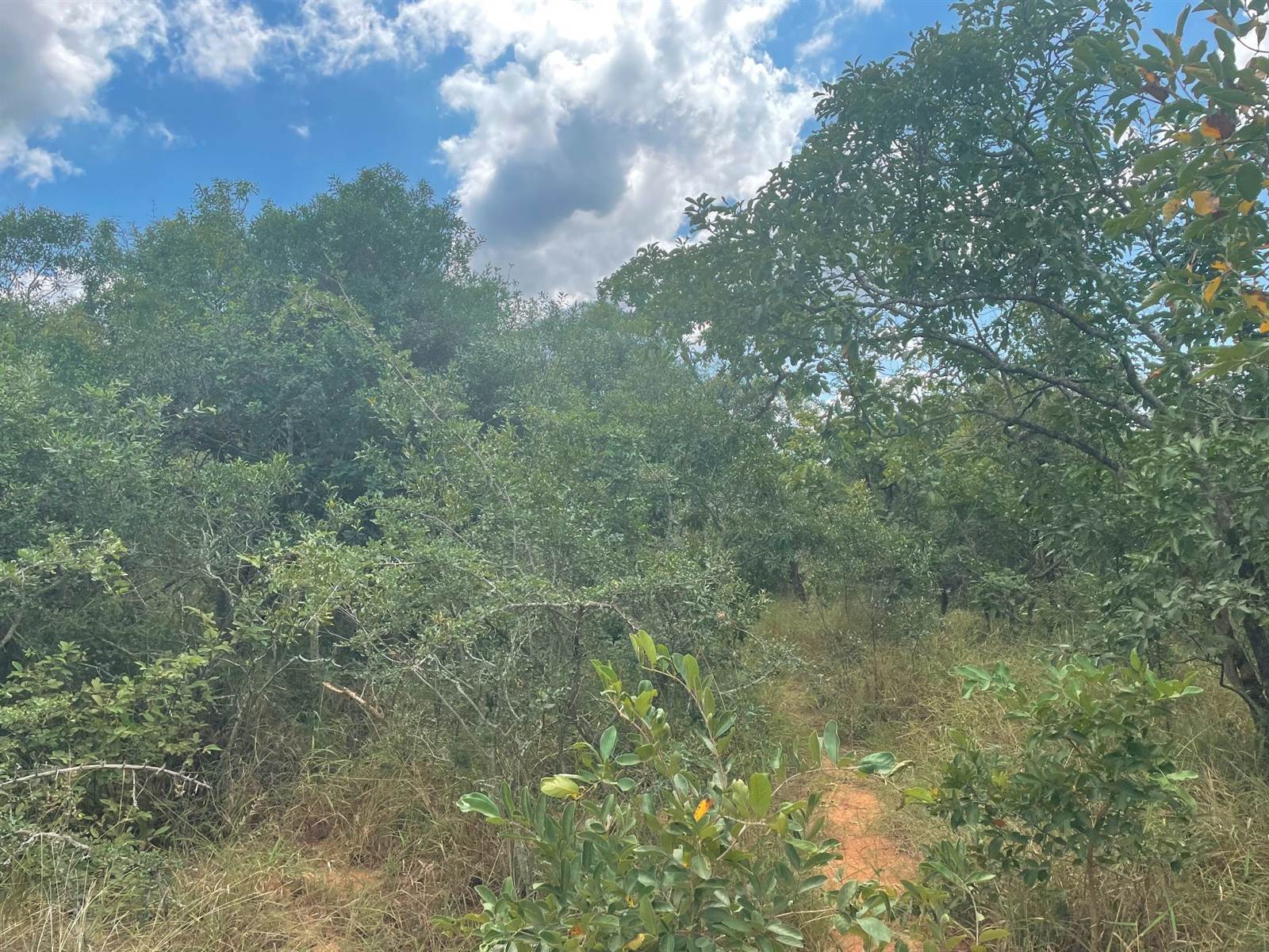 9850 m² Land available in Hoedspruit photo number 3