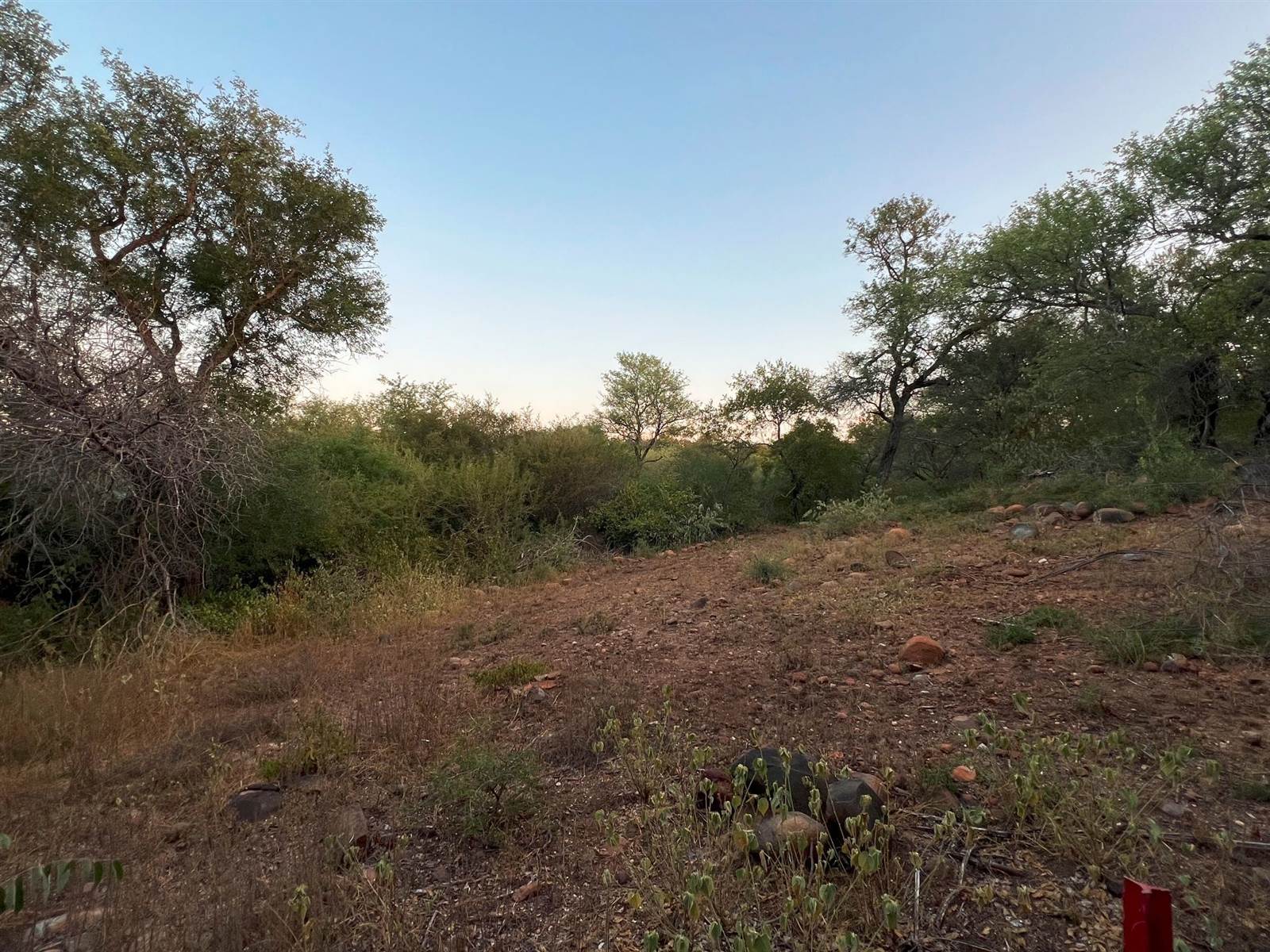 3932 m² Land available in Blyde Wildlife Estate photo number 8
