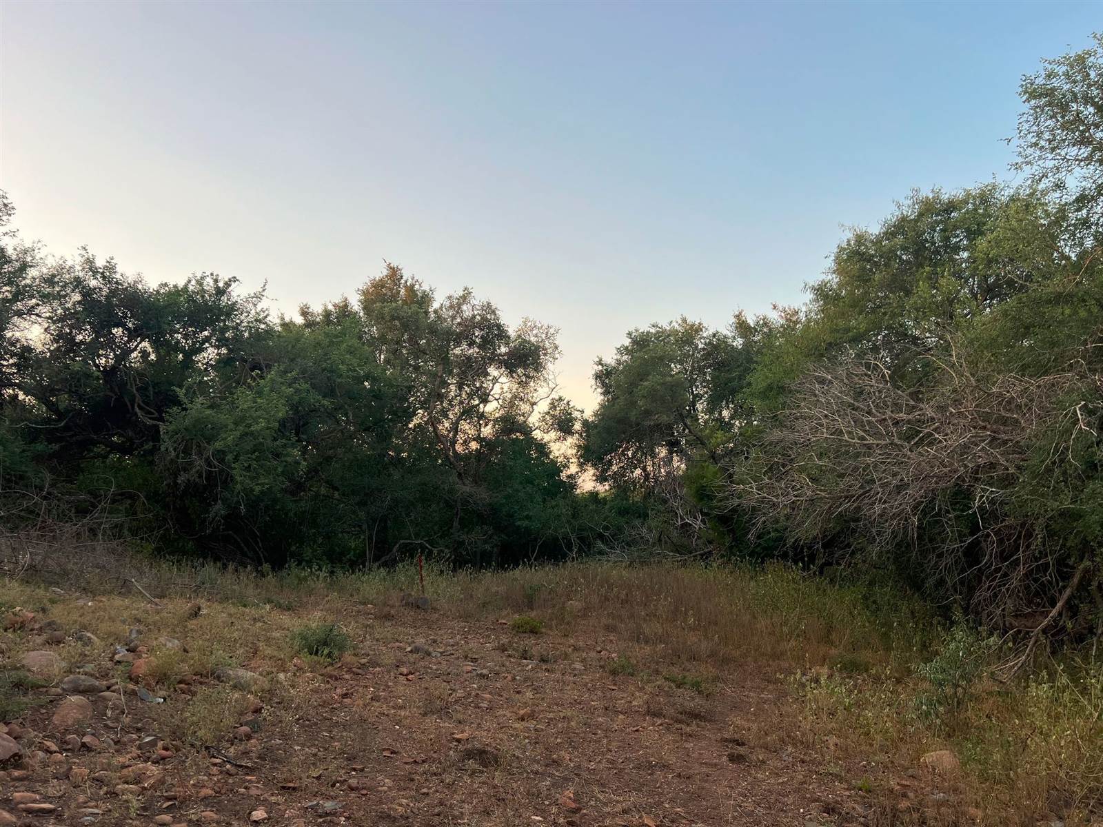 3932 m² Land available in Blyde Wildlife Estate photo number 7