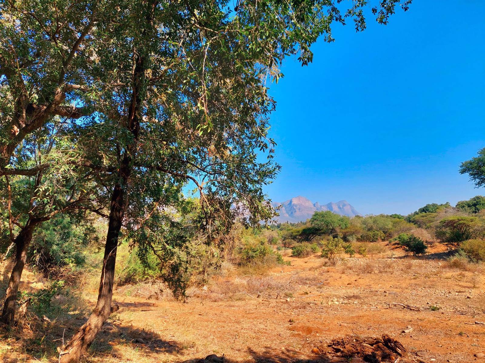 5000 m² Land available in Blyde Wildlife Estate photo number 8