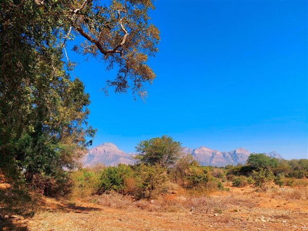 5000 m² Land available in Blyde Wildlife Estate