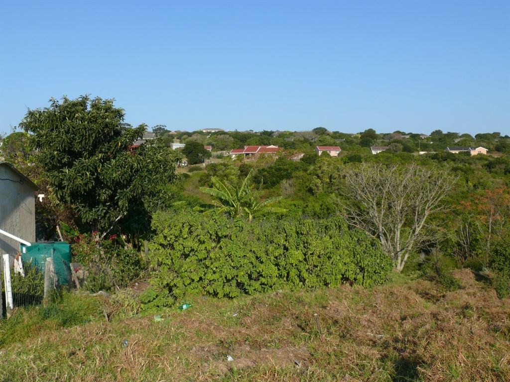 1240 m² Land available in Port Alfred photo number 7