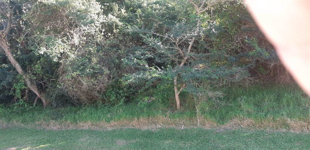 518 m² Land available in Princes Grant Golf Estate photo number 15