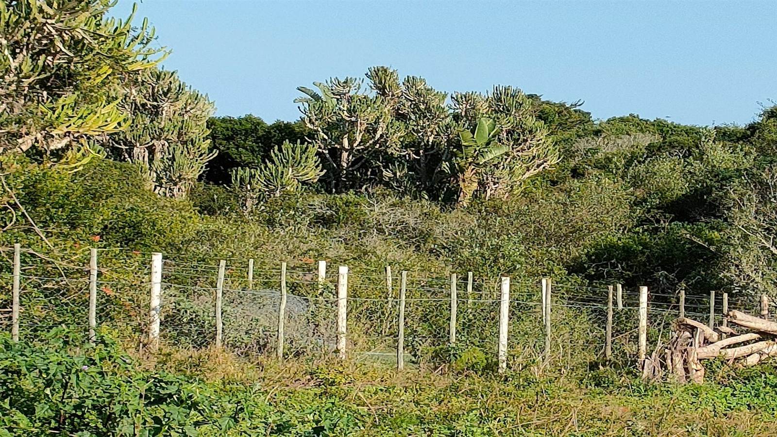 944 m² Land available in Boesmansriviermond photo number 12