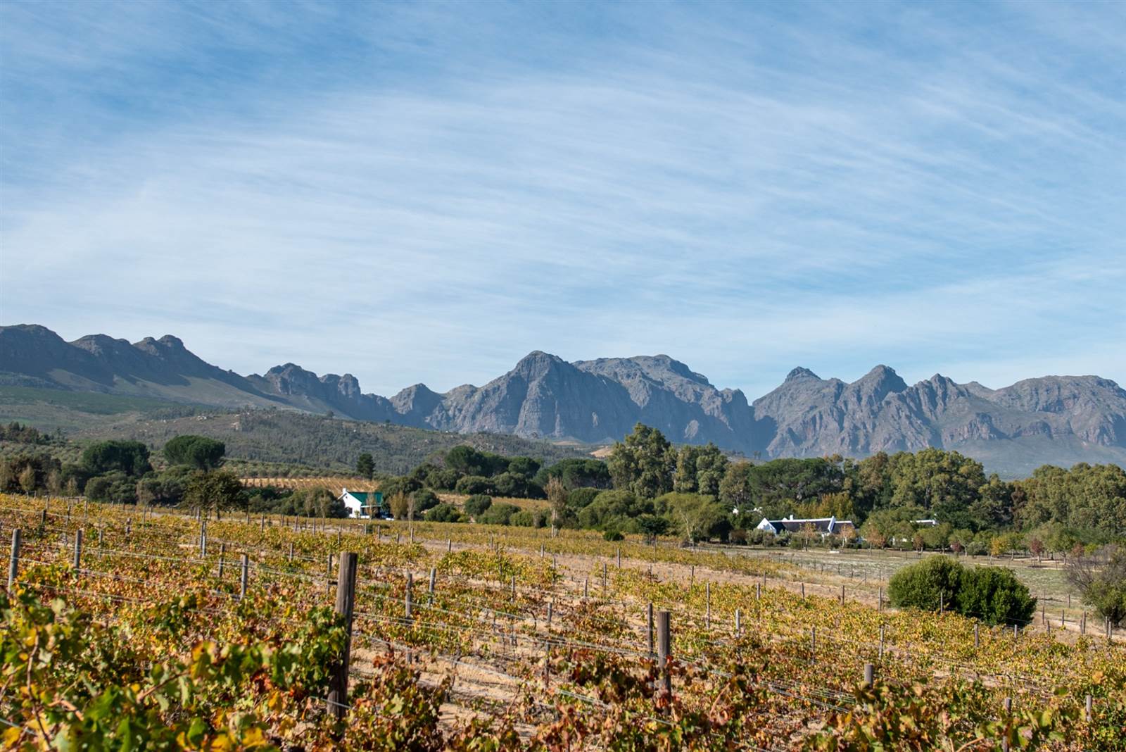 34 ha Farm in Northern Paarl photo number 17