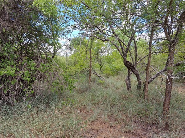 8725 m² Land available in Moditlo Nature Reserve