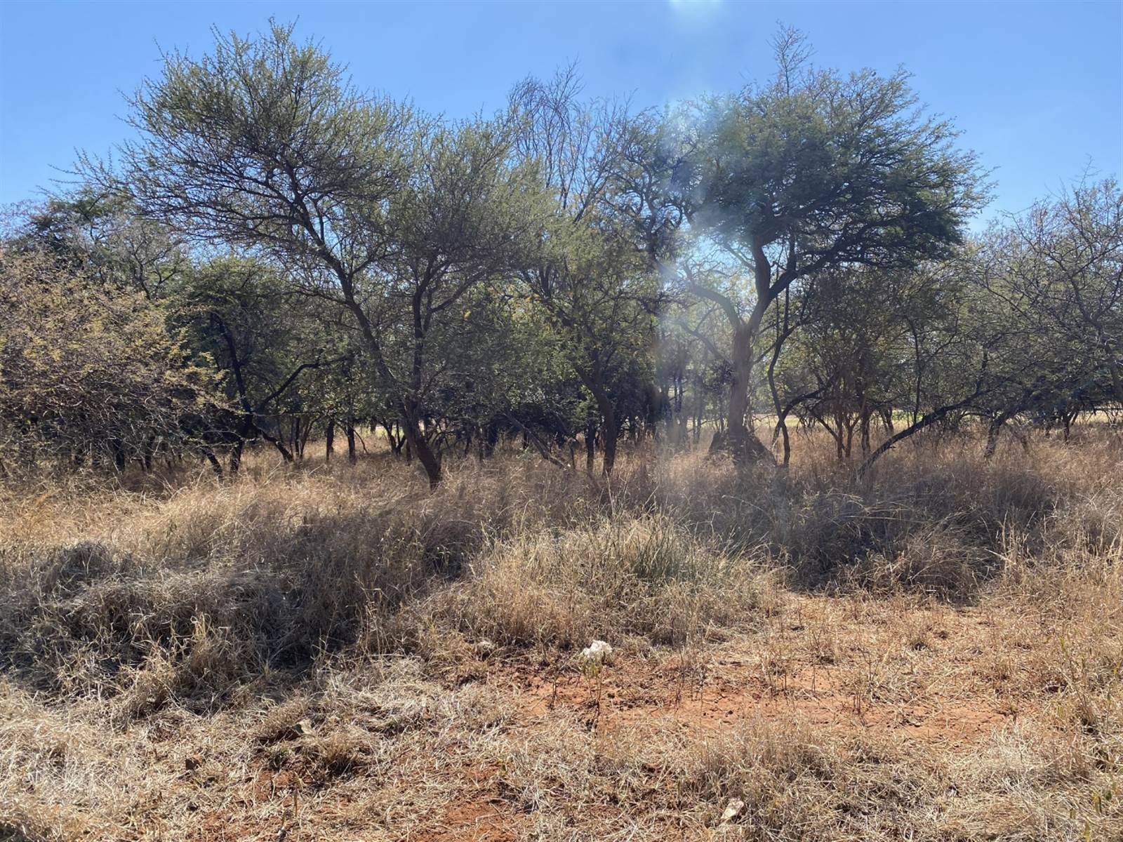 697 m² Land available in Mokopane photo number 5