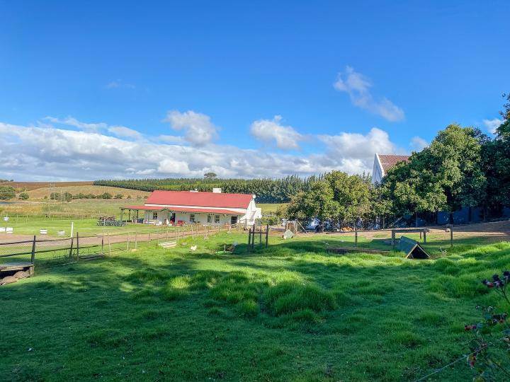 53 ha Farm in Stellenbosch Central photo number 21