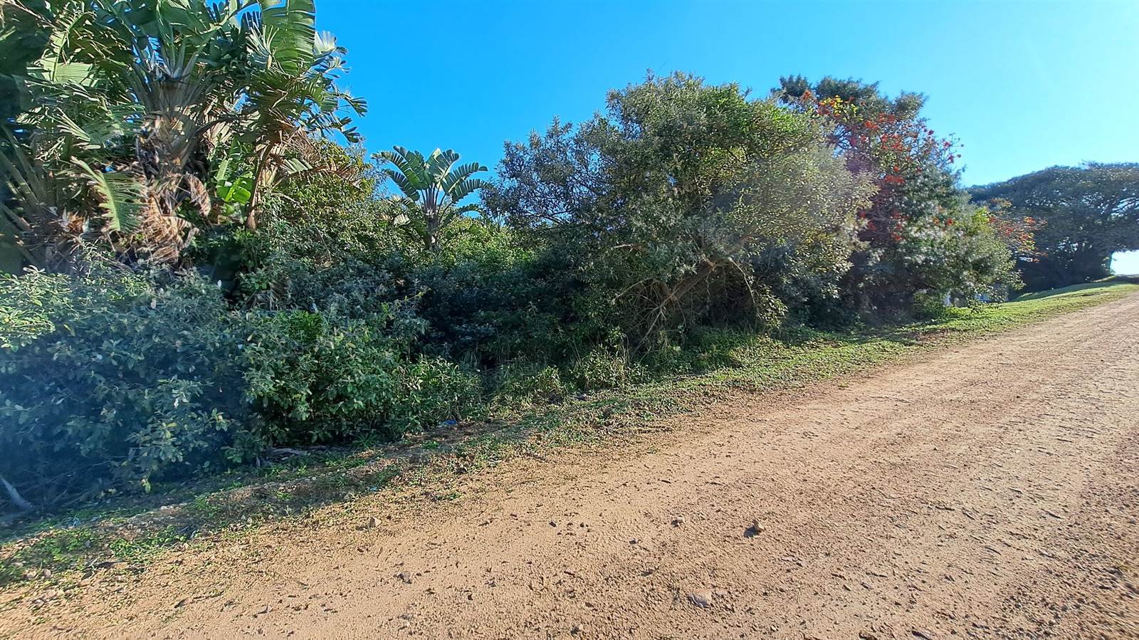 1055 m² Land available in Hibberdene photo number 7
