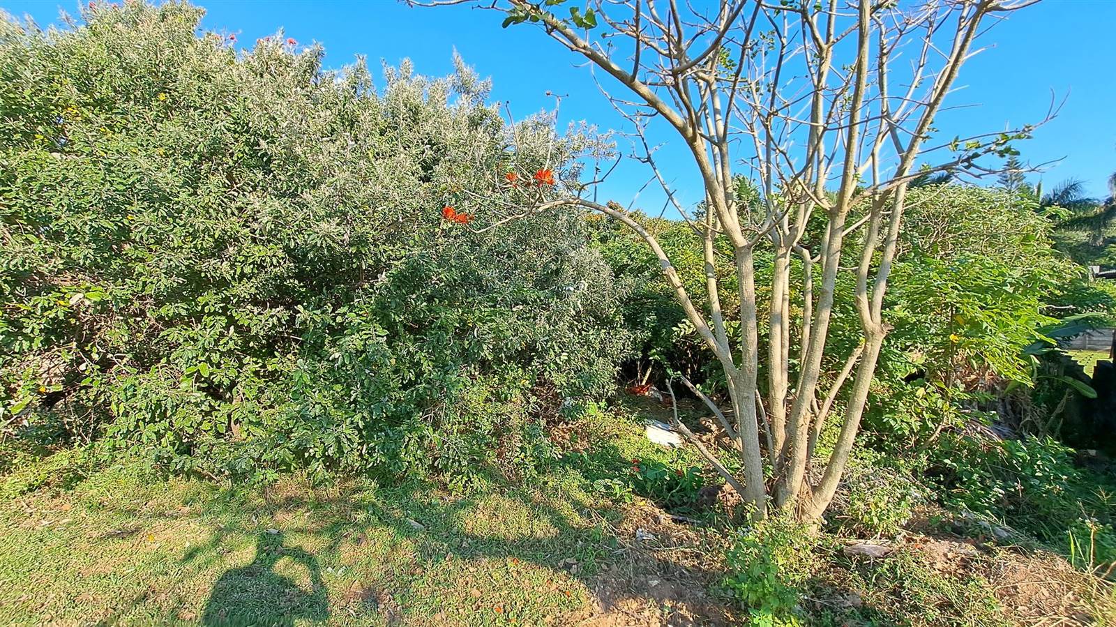 1055 m² Land available in Hibberdene photo number 4