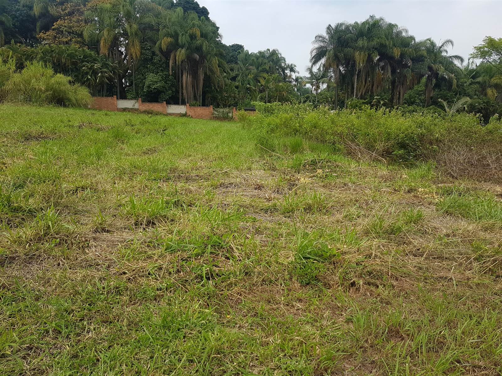 2480 m² Land available in Golden Acres Estate photo number 11