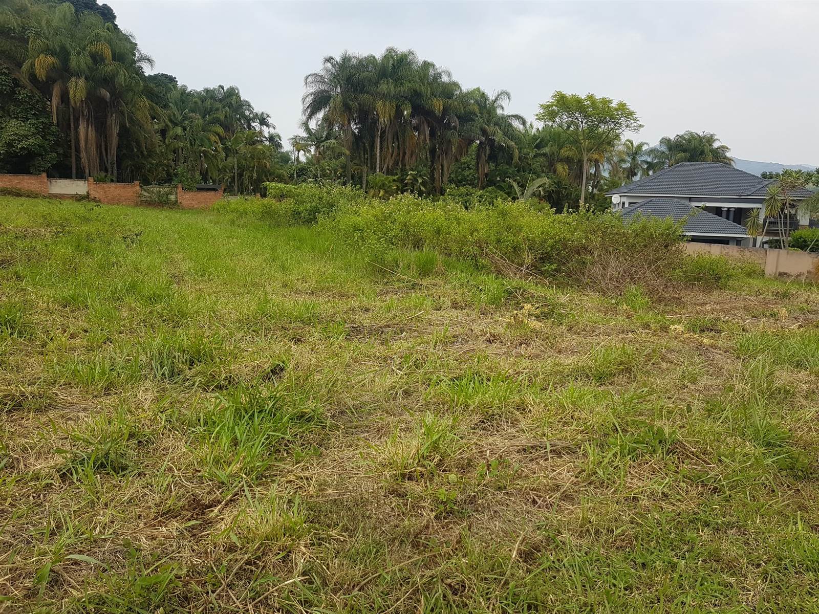 2480 m² Land available in Golden Acres Estate photo number 3