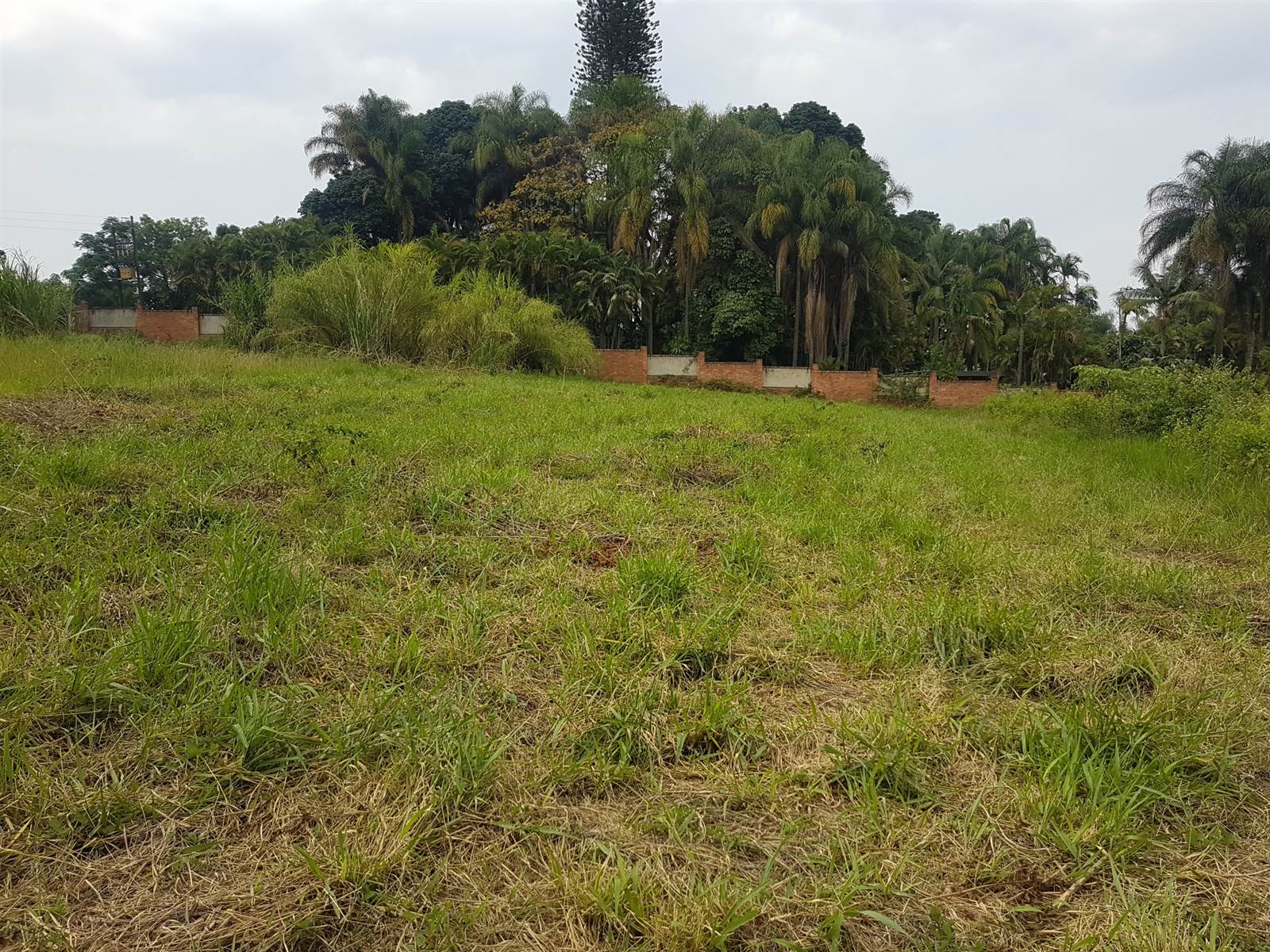 2480 m² Land available in Golden Acres Estate photo number 4