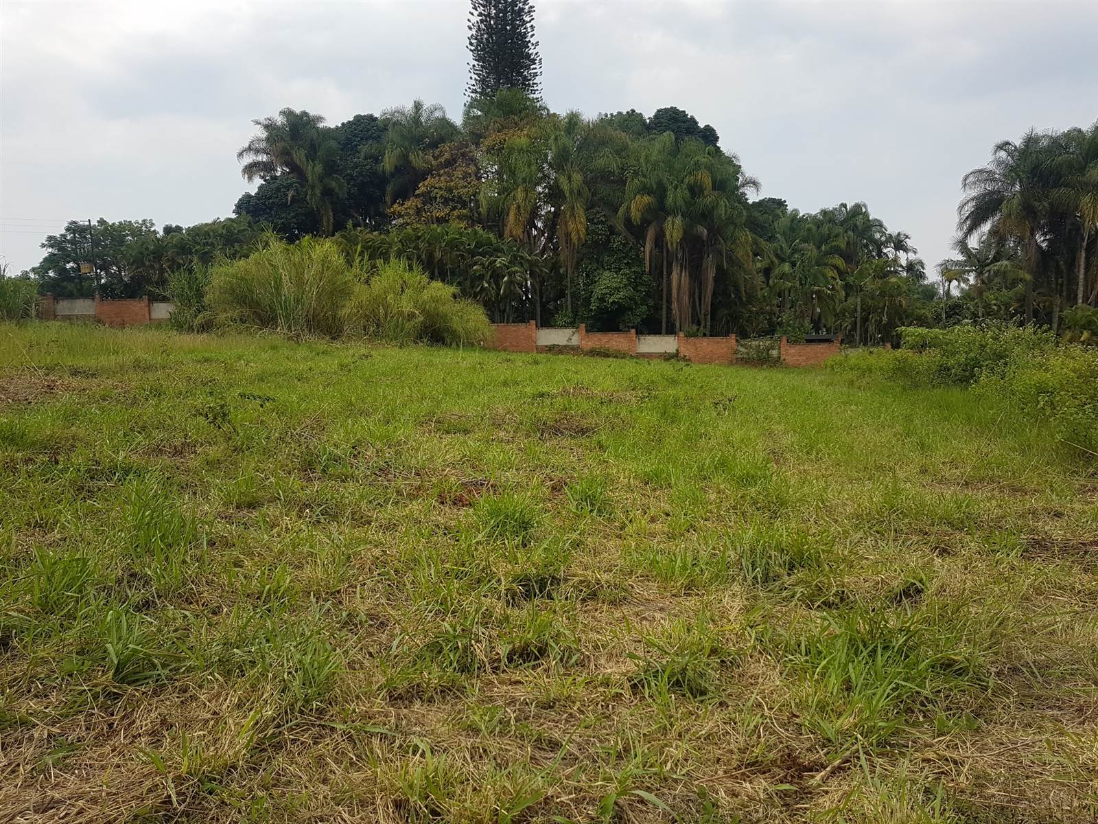 2480 m² Land available in Golden Acres Estate photo number 2