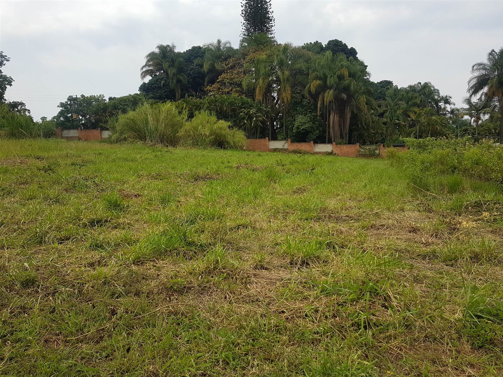 2480 m² Land available in Golden Acres Estate photo number 10