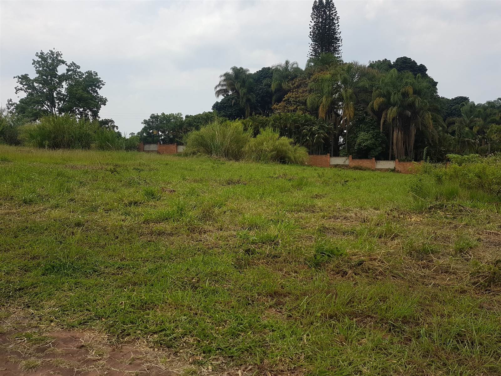 2480 m² Land available in Golden Acres Estate photo number 5