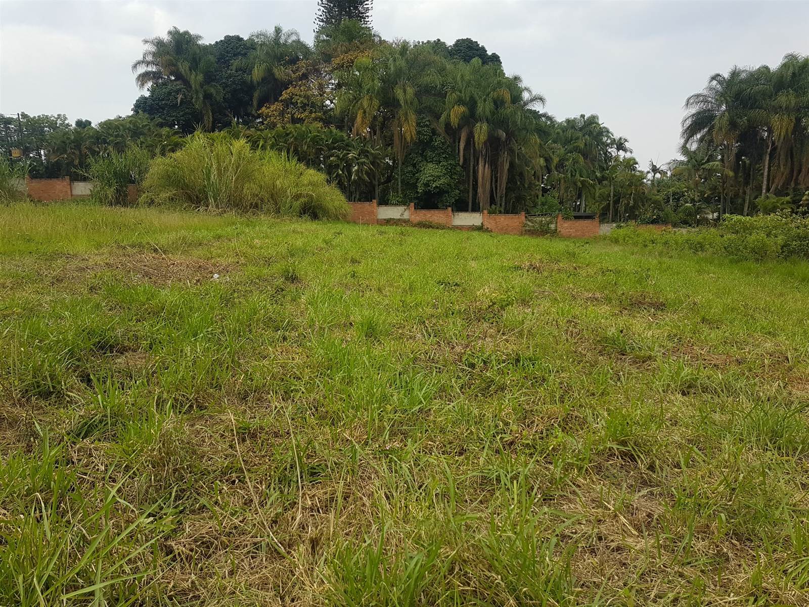 2480 m² Land available in Golden Acres Estate photo number 7