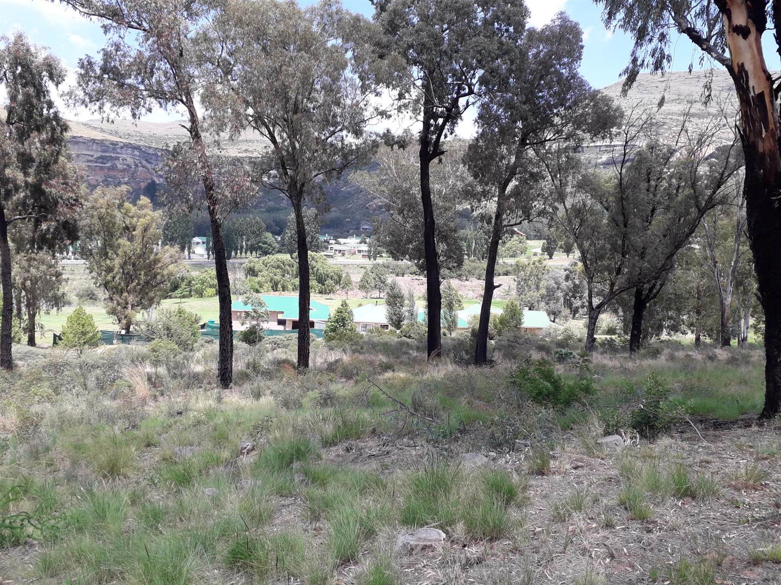 700 m² Land available in Clarens photo number 2