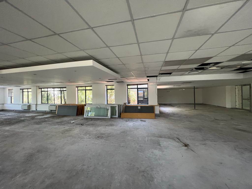 209  m² Commercial space in Rosebank photo number 13