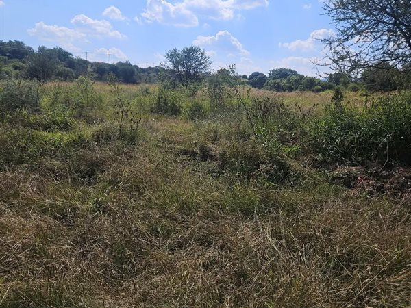 1.1 ha Land 1.1 ha Land