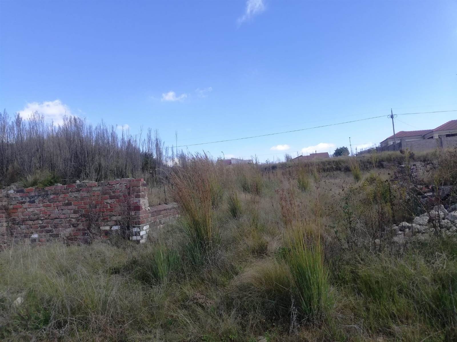 1040 m² Land available in Morelig photo number 5