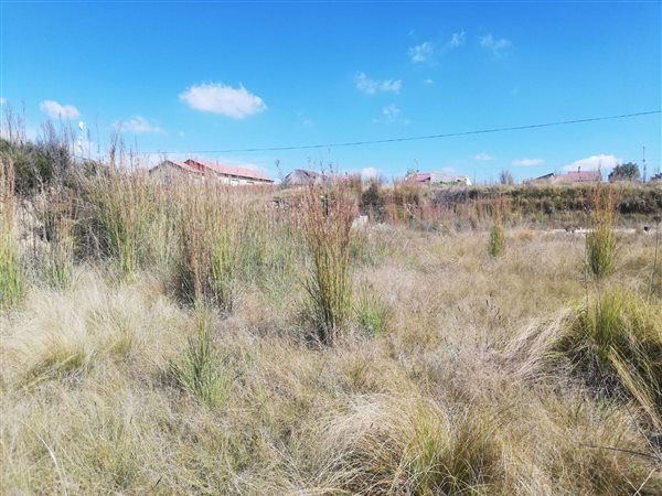 1040 m² Land available in Morelig