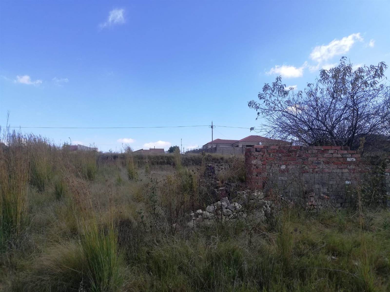 1040 m² Land available in Morelig photo number 6
